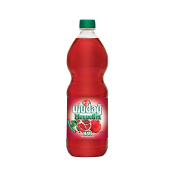 Uludağ Meyvelim Narlı (1 L)